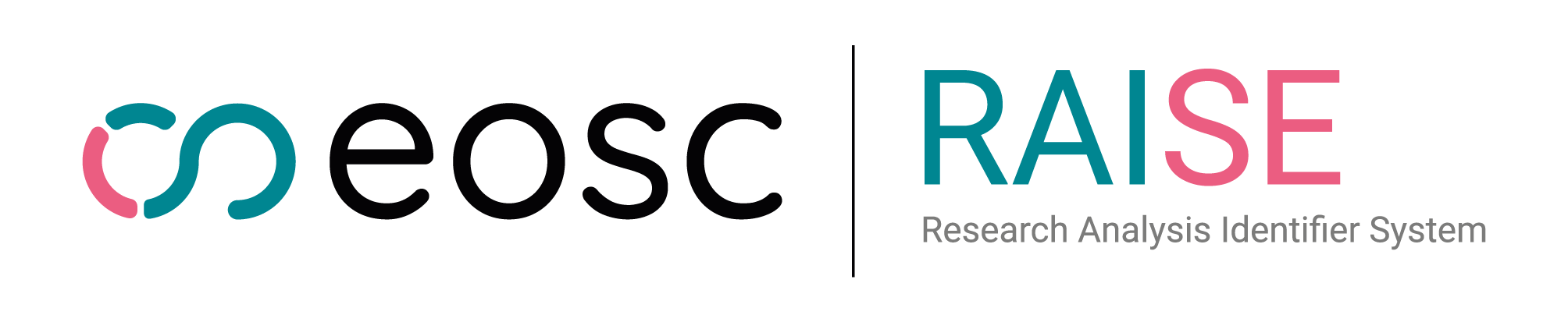 RAISE logo